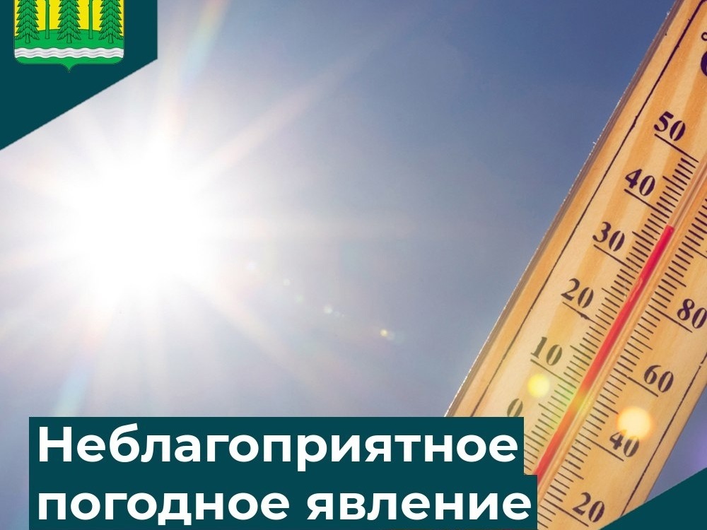 ⚡️От Новгородского центра по гидрометеорологии и мониторингу окружающей среды получено предупреждение о неблагоприятных явлениях погоды: .